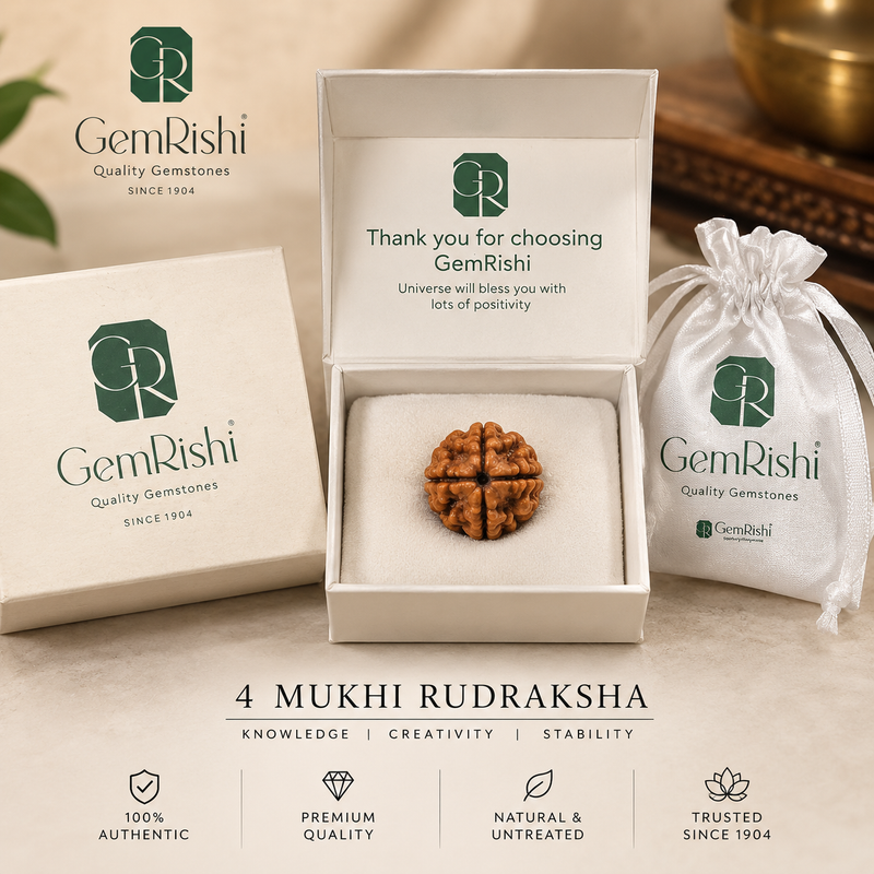 Rudraksha product detail image