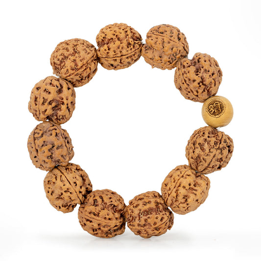 4 Mukhi Rudraksha Bracelet detail