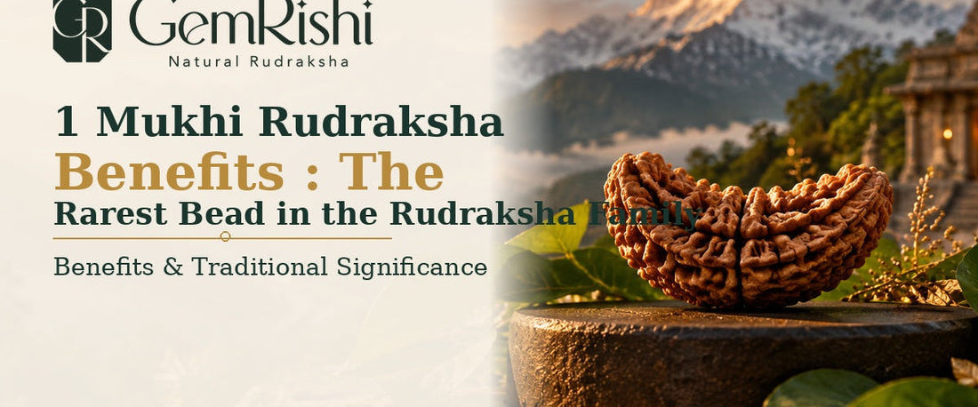 1 Mukhi Rudraksha Benefits: The Rarest Bead in the Rudraksha Family — GemRishi
