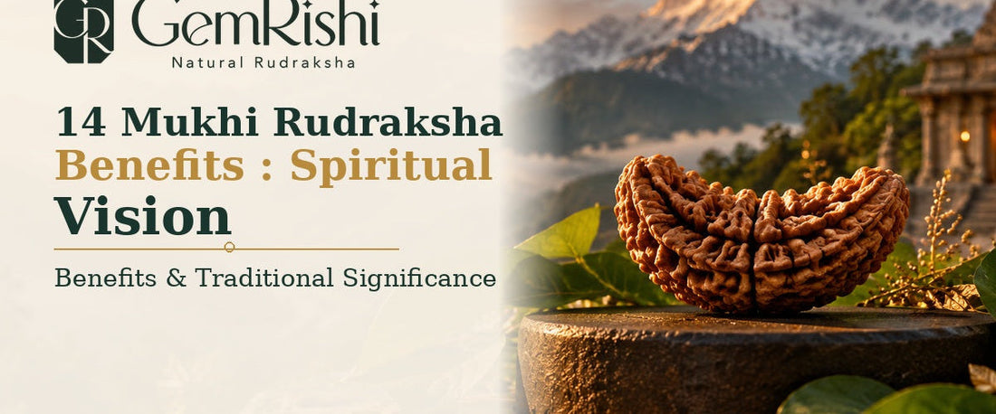 14 Mukhi Rudraksha Benefits: Spiritual Vision — GemRishi