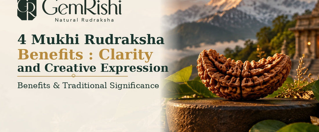 4 Mukhi Rudraksha Benefits: Clarity and Creative Expression — GemRishi