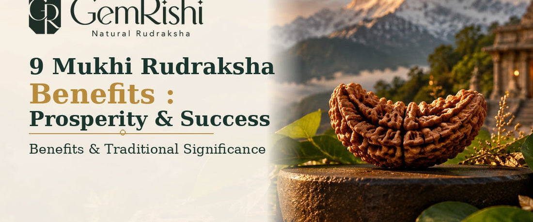 9 Mukhi Rudraksha Benefits: Prosperity & Success — GemRishi