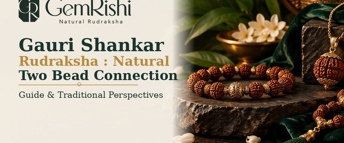 Gauri Shankar Rudraksha: Natural Two Bead Connection — GemRishi