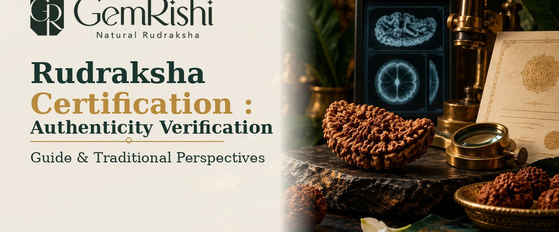 Rudraksha Certification: Authenticity Verification — GemRishi