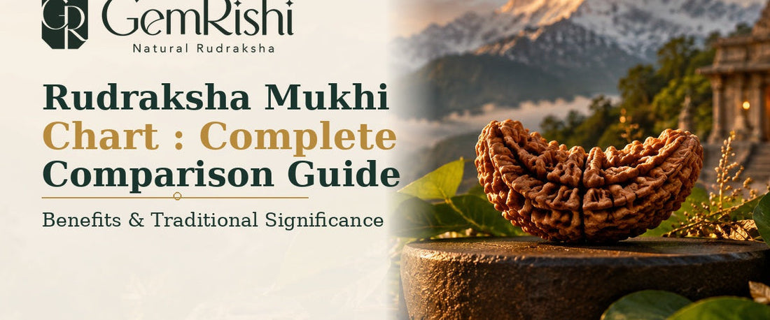 Rudraksha Mukhi Chart: Complete Comparison Guide — GemRishi