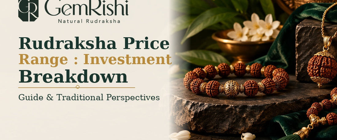 Rudraksha Price Range: Investment Breakdown — GemRishi