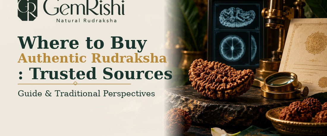 Where to Buy Authentic Rudraksha: Trusted Sources — GemRishi