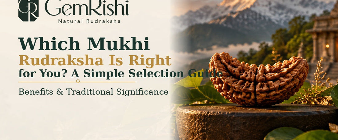 Which Mukhi Rudraksha Is Right for You? A Simple Selection Guide — GemRishi