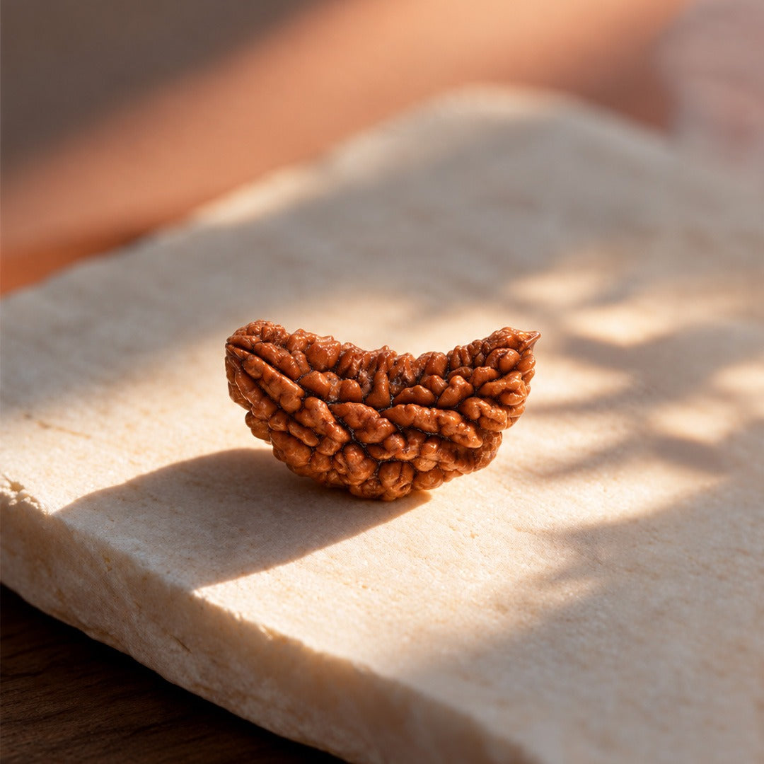 1 Mukhi Rudraksha