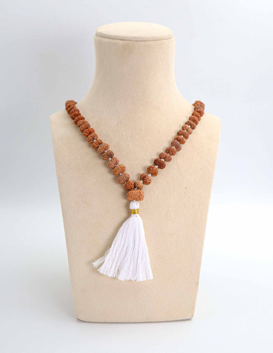 13 Mukhi Rudraksha Mala | GemRishi