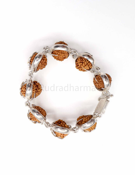 Gauri Shankar Rudraksha Bracelet | GemRishi