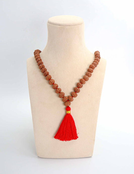6 Mukhi Rudraksha Mala | GemRishi