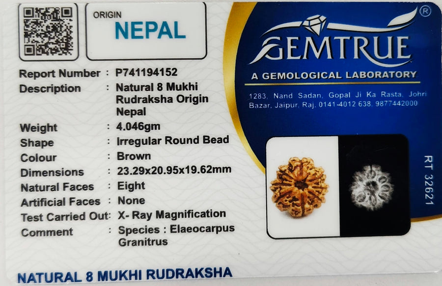 Rudrakasha Certificate