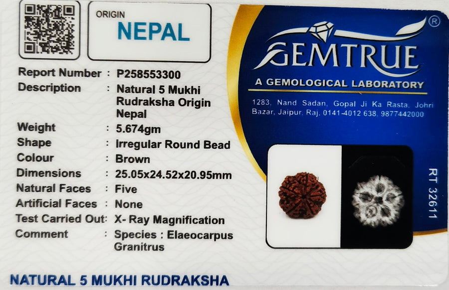 Rudrakasha Certificate
