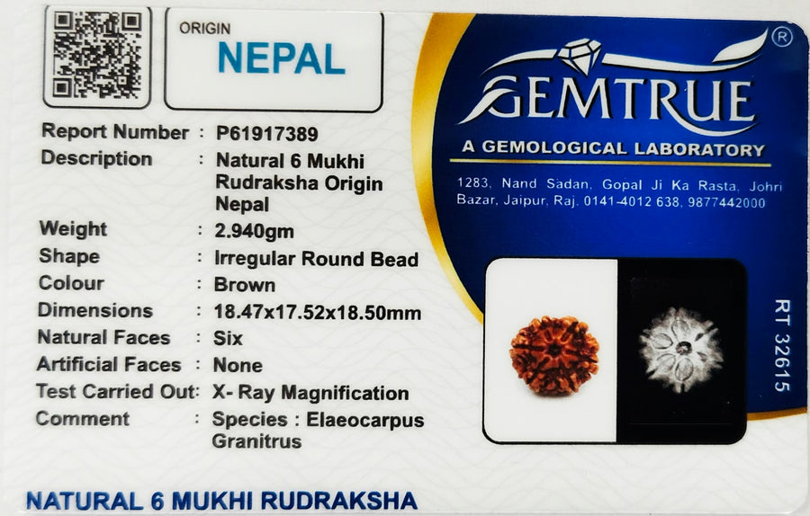 Rudrakasha Certificate
