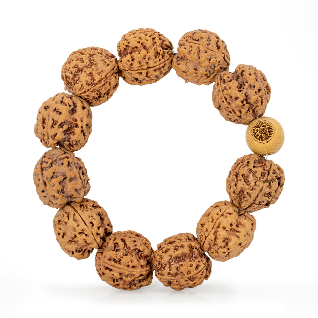4 Mukhi Rudraksha Bracelet detail