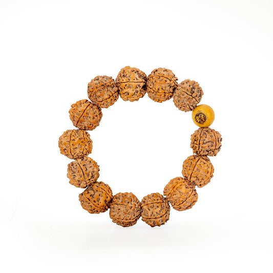 6 Mukhi Rudraksha Bracelet detail